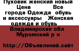 Пуховик женский новый › Цена ­ 2 600 - Все города Одежда, обувь и аксессуары » Женская одежда и обувь   . Владимирская обл.,Муромский р-н